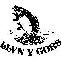 Llyn Y Gors
